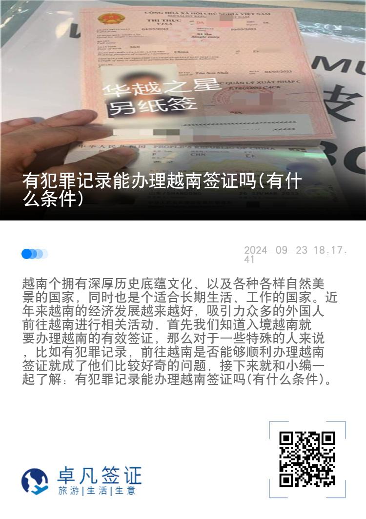 有犯罪记录能办理越南签证吗(有什么条件)